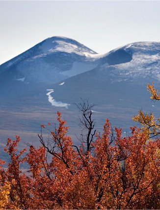 frost-covered mountain peaks with red and yellow leaves in the foreground