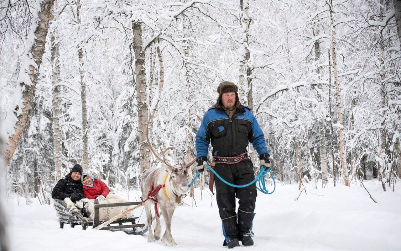 Reindeer sleigh ride