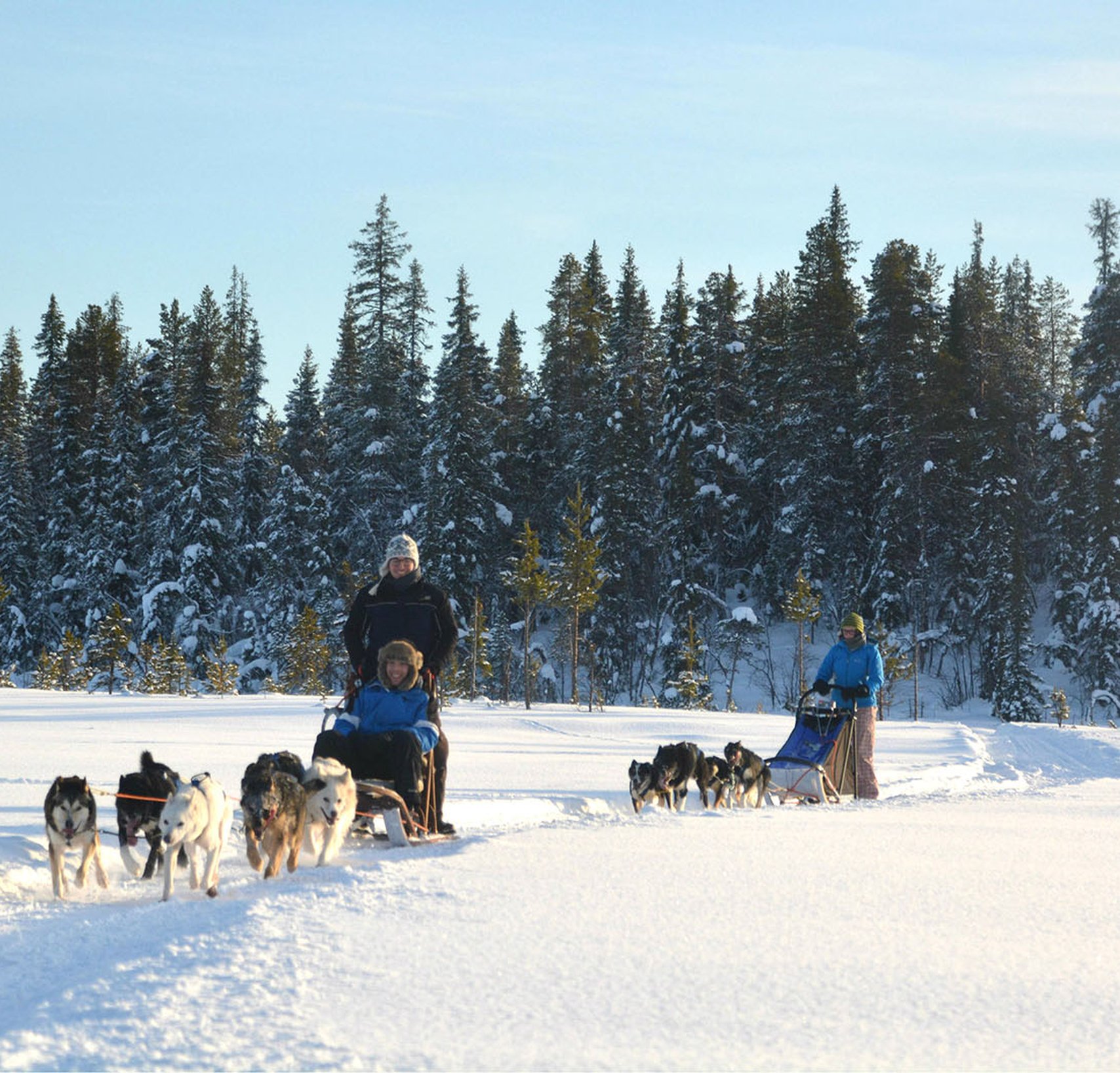 Husky Tours Lapland