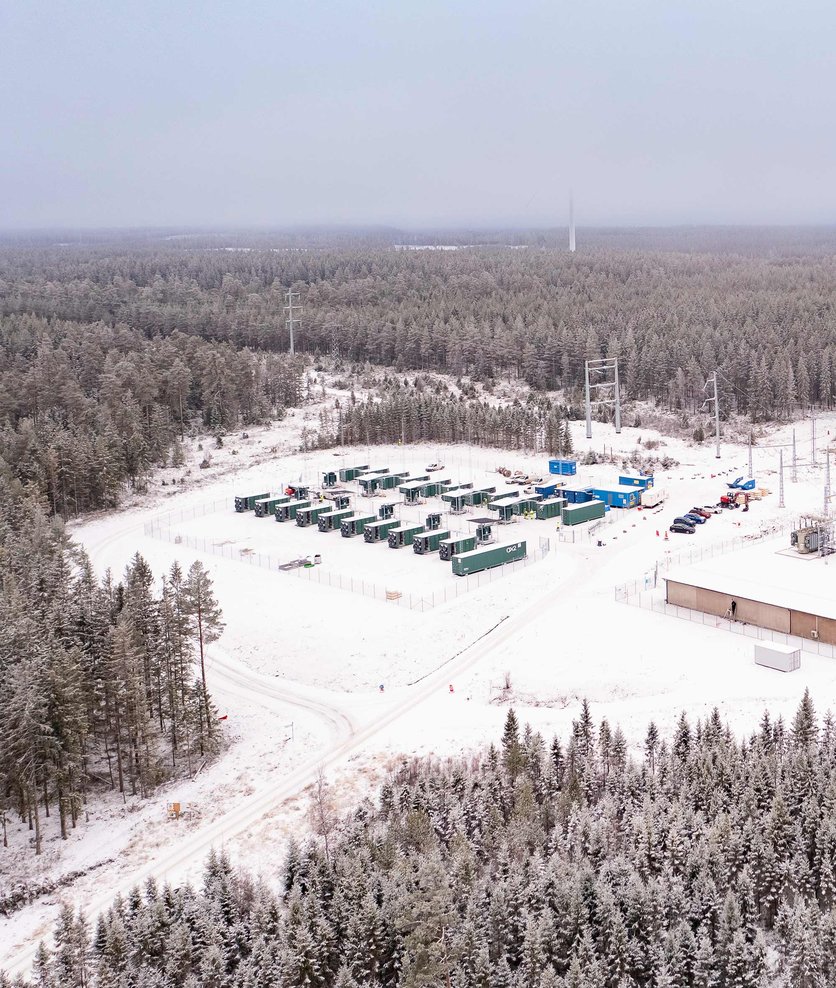 Grid tariff optimization: How to turn cost spikes into profit, Flower