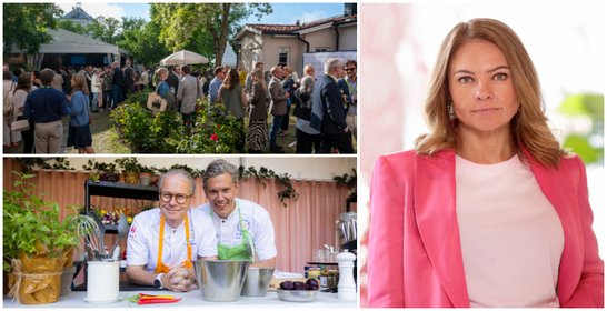 Visita tar plats i Almedalen