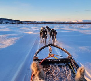 Husky dreams lunchtur