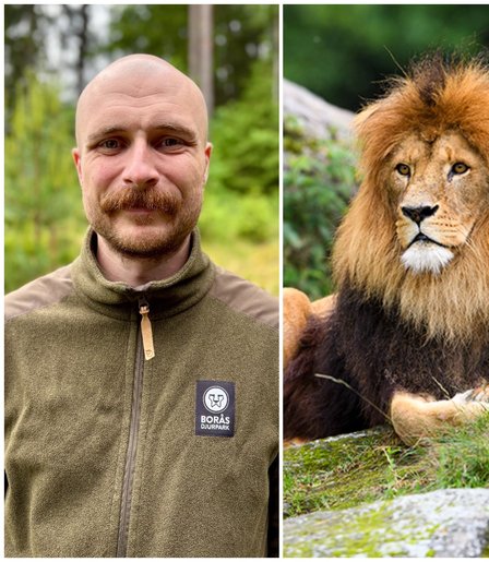 Dannebacken Service städar på Borås Djurpark