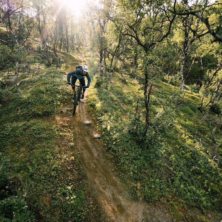 mountainbike bland fj&auml;llbj&ouml;rkar