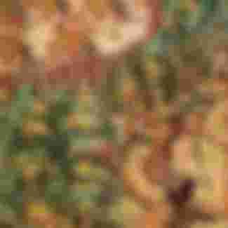 Depiction of a conflict between two Native American tribes in 1562. Drawing by Jacques Le Moyne de Morgues (1533-1588).