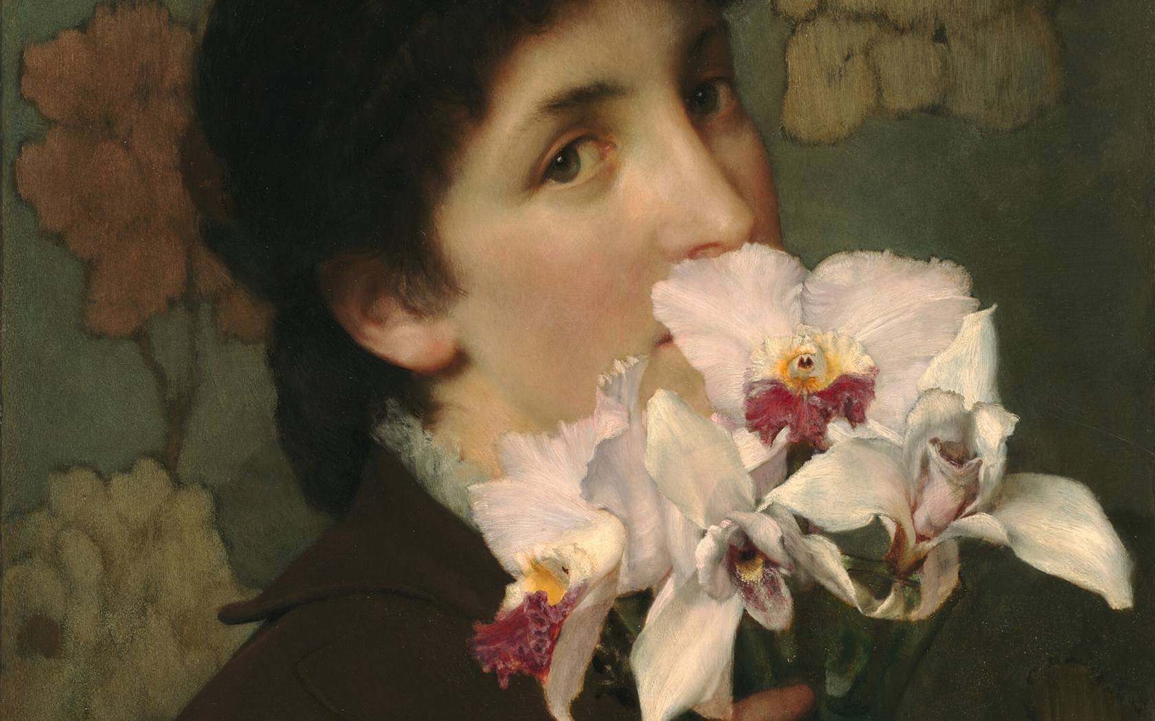 Orchids - Private Collection, USA, Richard Green Gallery, London