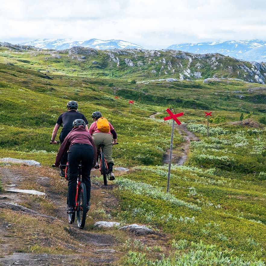 tre v&auml;nner cyklar p&aring; mountainbikes uppe p&aring; kalfj&auml;llet