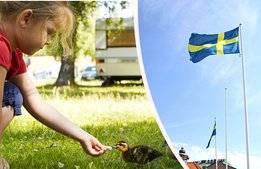 Svensk Turisms nya ordförande: ”Det finns många utmaningar”