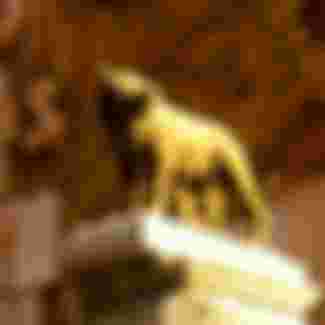 A statue of Romulus and Remus on the Capitoline Hill in Rome.