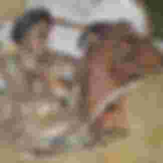 Wiki Creative Commons