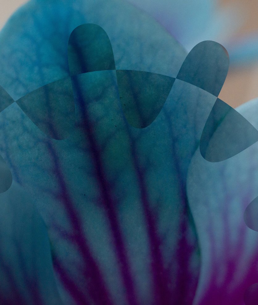 Flower Signs Battery Flexibility Agreement with Global Energy Group