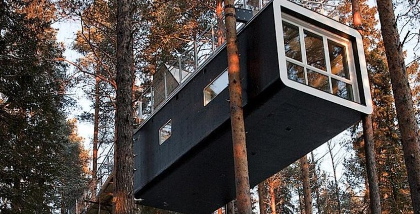 Kändisarnas favorithotell, Treehotel i Haralds, <br />
planeras att säljas inom en tvåårsperiod. Foto: Treehotel