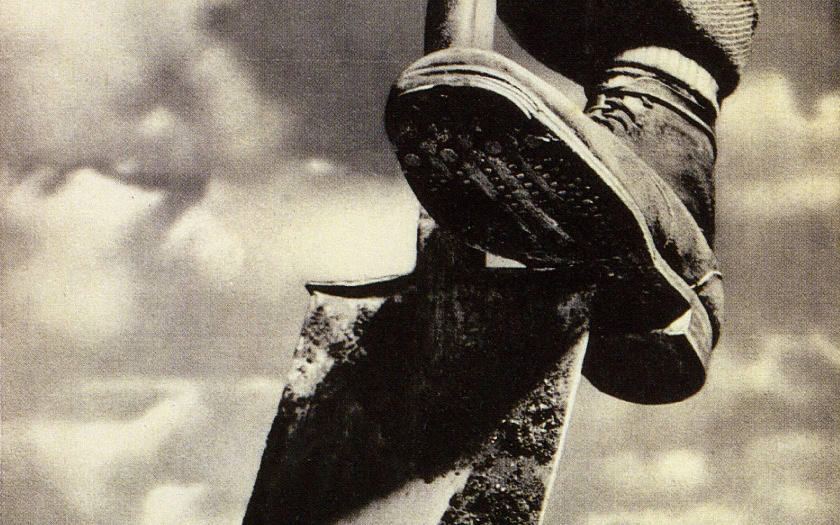 The British War Office's 1940 'Dig for Victory' poster.