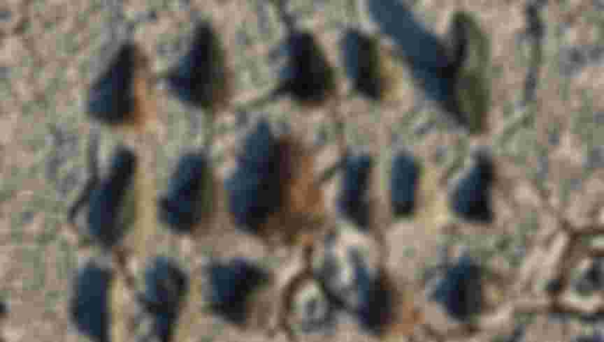 Primitive stone age tools, found in the Makgadikgadi Pan in Botswana.