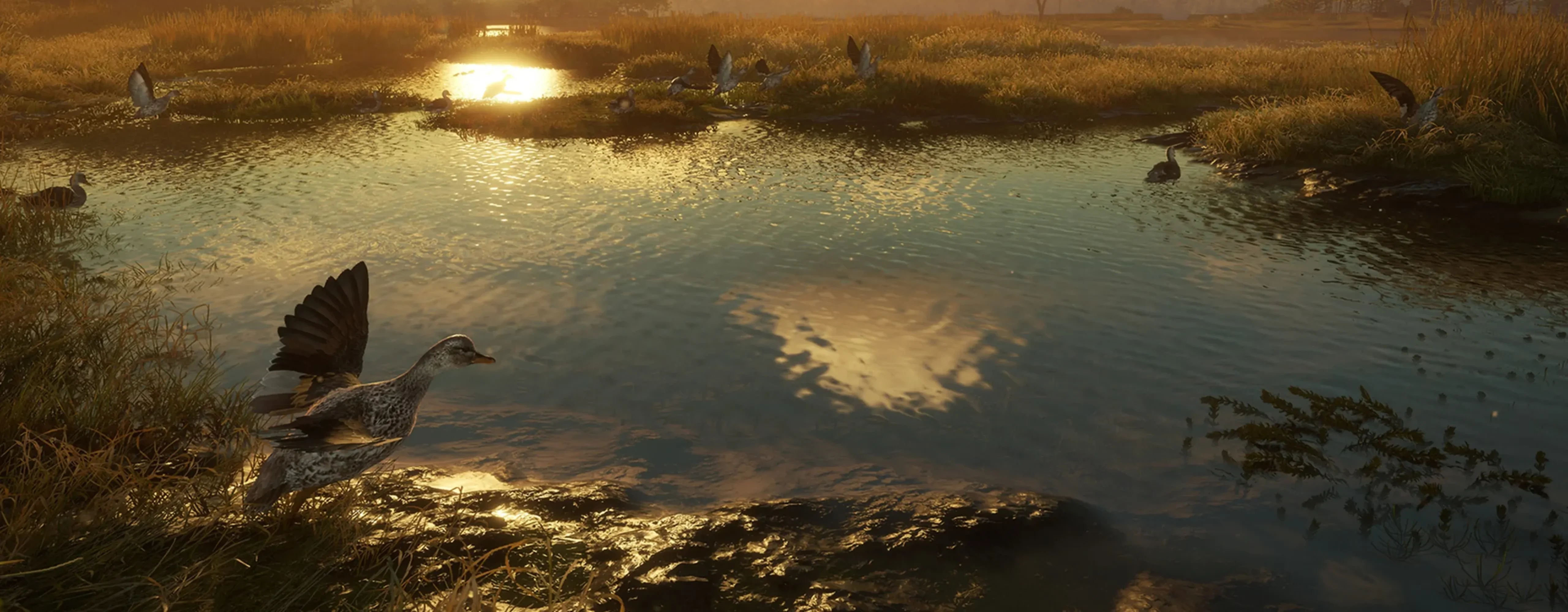 A screenshot of a sunset in thHunter. A duck is mid-flight and about to land is a small pond surrounded by golden marshland in Salzwiesen Park