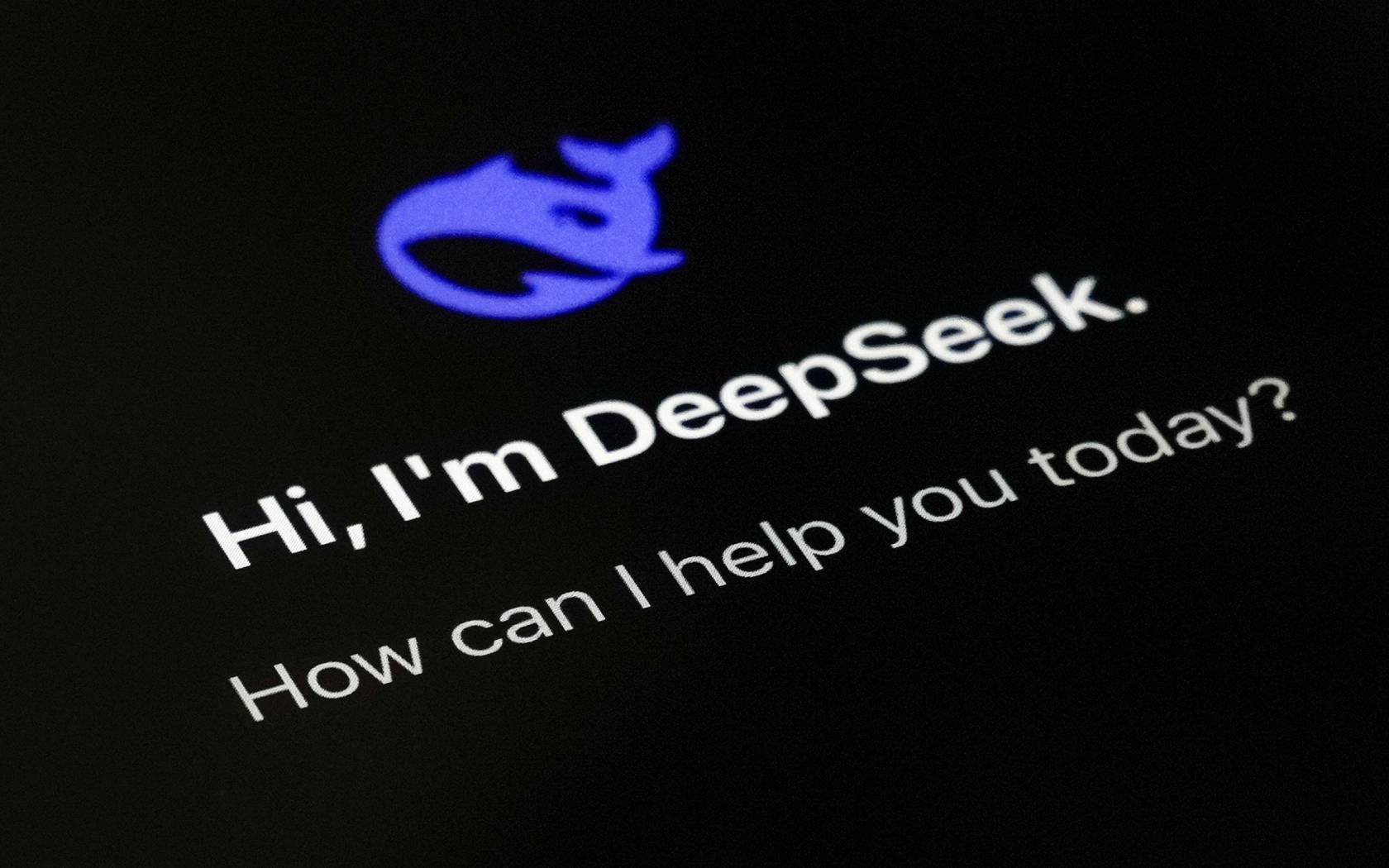 DeepSeek page on a smartphone screen.