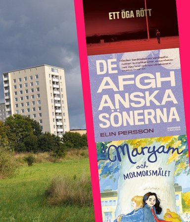 10 drabbande böcker om att komma ny till Sverige