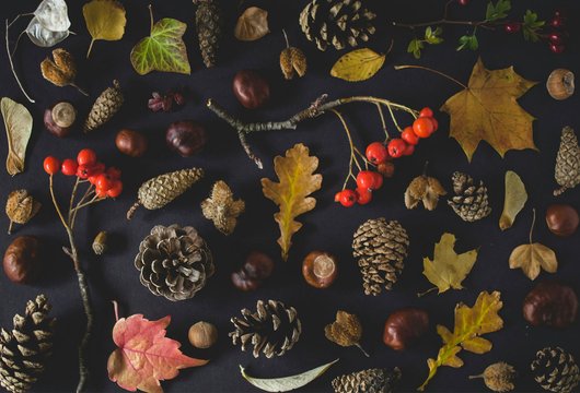 H&ouml;stens b&ouml;cker 2026