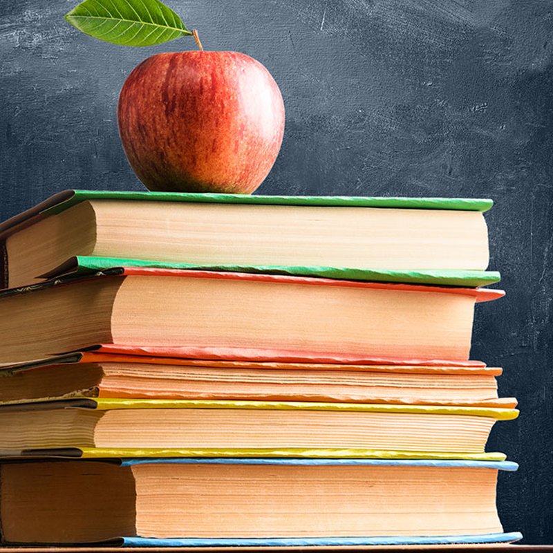 15 klassiker vi fick läsa i skolan