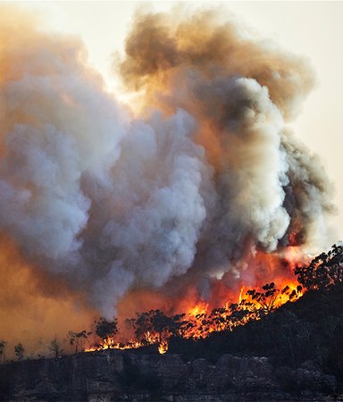 Cli-fi – 11 böcker som kretsar kring klimatet - vår tids ödesfråga