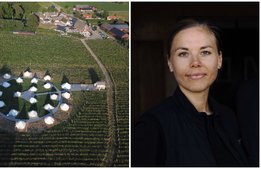 Svenska viner ska erövra världen