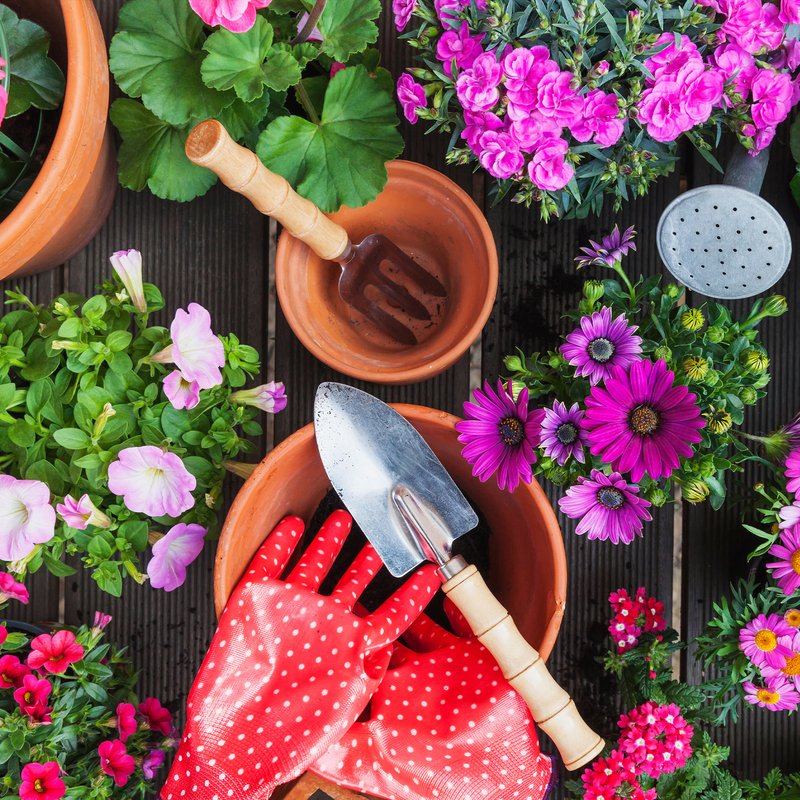 5 böcker med blommor och växter i handlingen