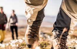 Besöksrekord i fjällen – ”Vi har sett det här komma bubblande”