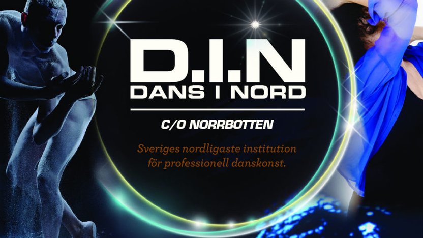 DINGenerellLogga1171-1024x1024