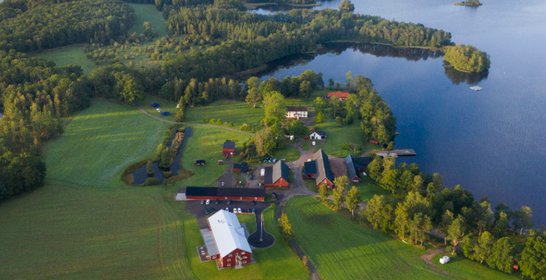 Forskning och engagemang på Tiraholms Fisk