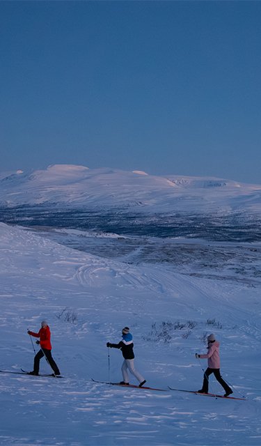 guidad tur p&aring; turskidor en polarnattsmorgon