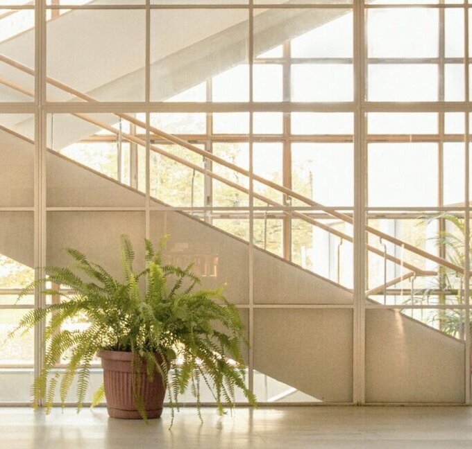 gröna växter och plantor på arbetsplatsen - service