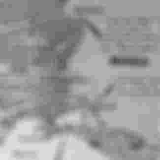 This map of Russia and surrounding countries highlights Hitler's campaign in Russia and how it went wrong.