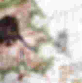 Renaissance map of Europe showing England.