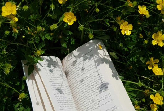 Vårens pocketböcker 2026