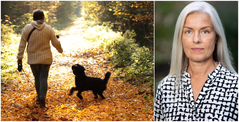 Foto: Unsplash och pressbild Stina Algotson, vd för BFUF.