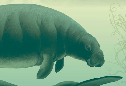 Vårens böcker 2026