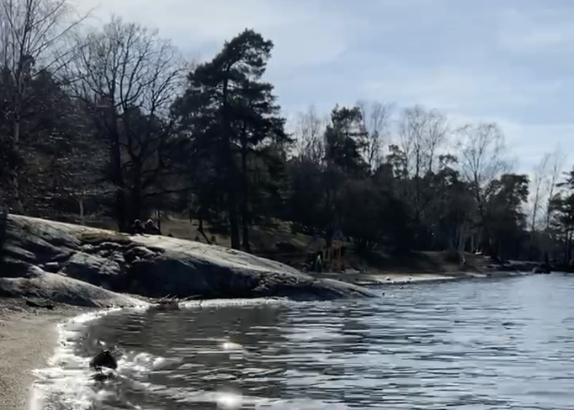 Mälarens strand i Bredäng