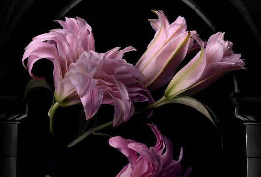 Vårens böcker 2026