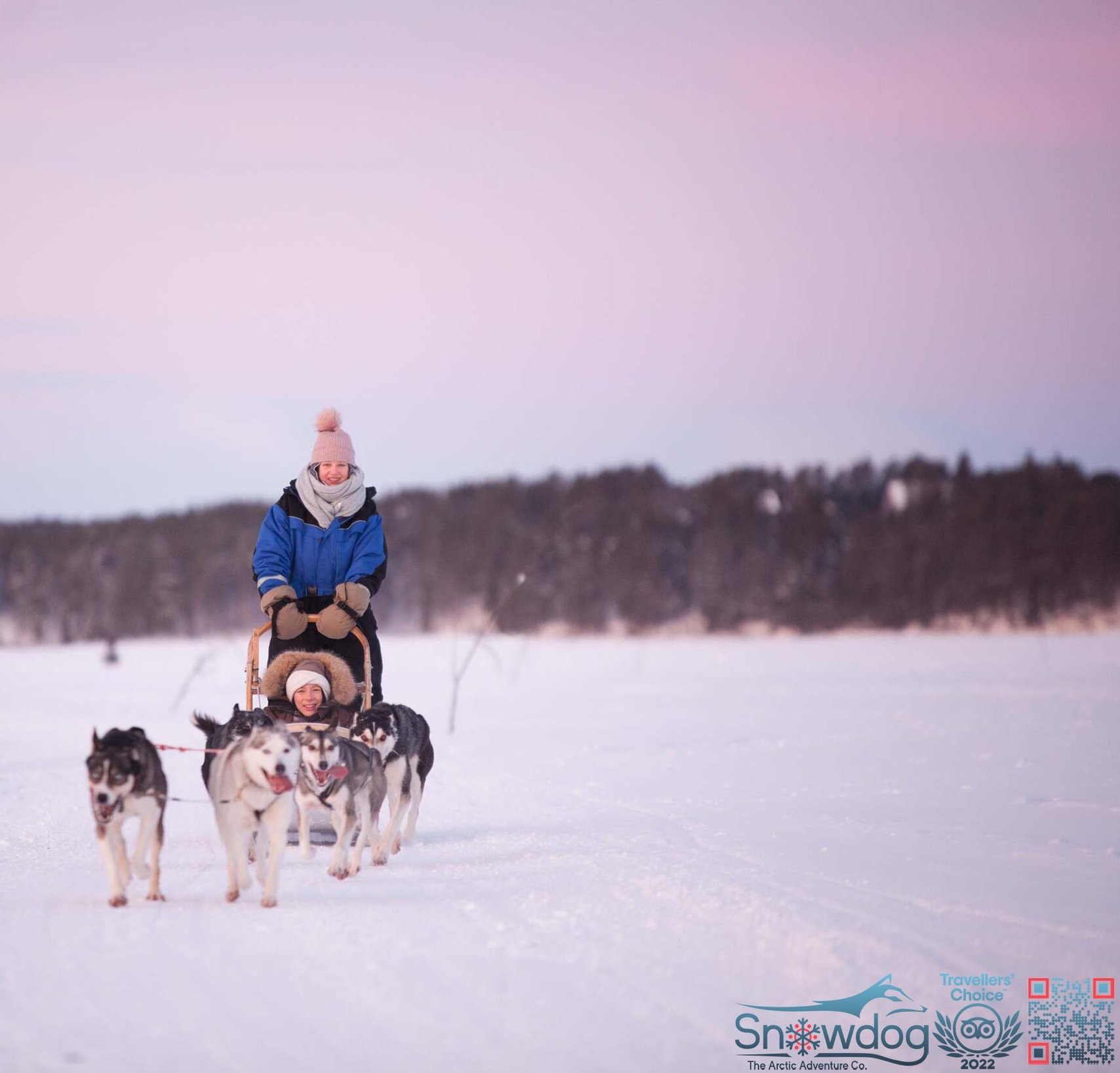 Snowdog arctic afternoon eco experience