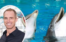Parks & Resorts: ”Tuffare sommar för parker utan bad”