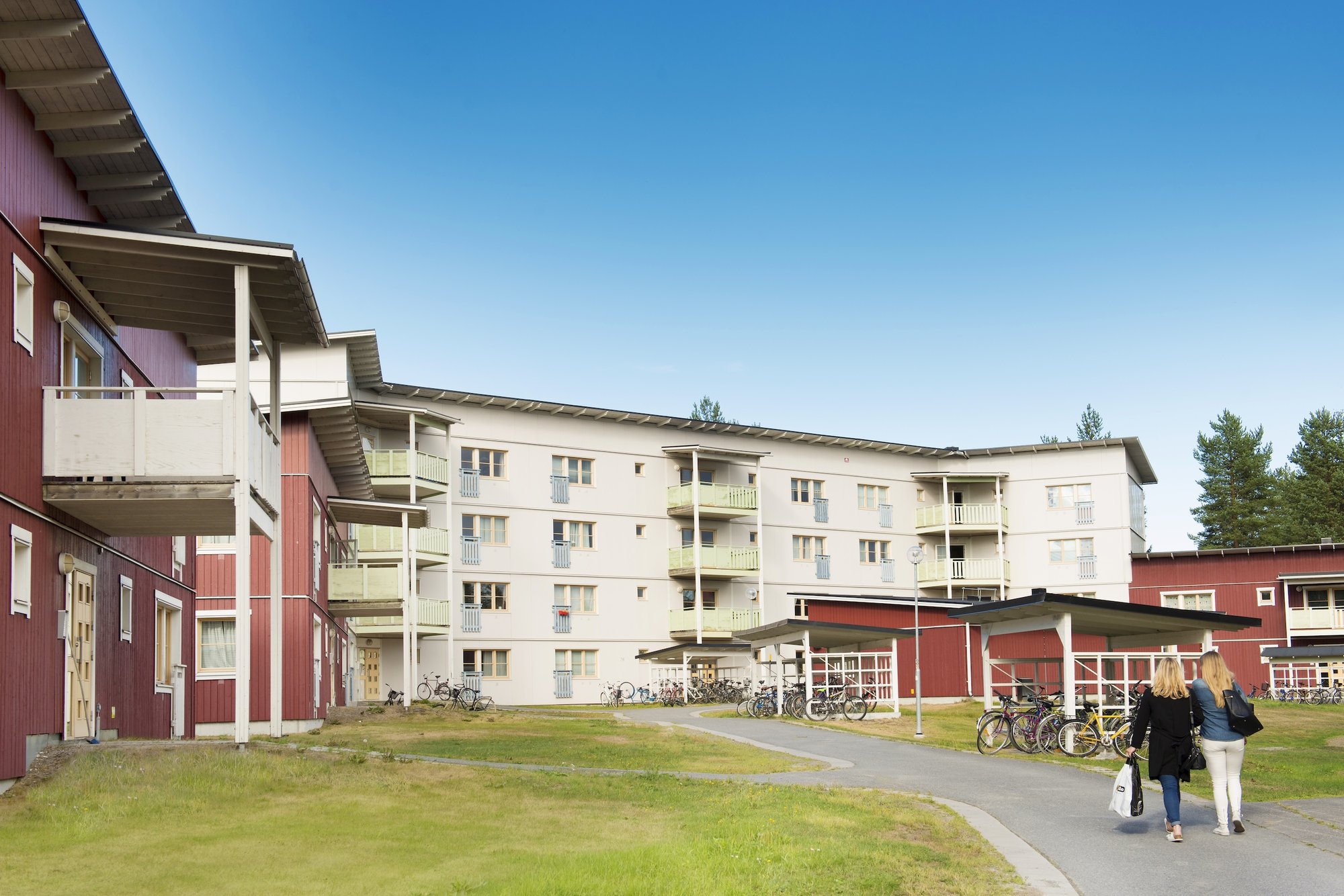 Porsön, bild 3 av 7