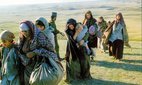 Still from Ararat, directed by Atom Egoyan.