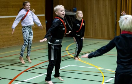 De skolhallar som inte hyrs ut uppfyller sällan idrottsrörelsens behov