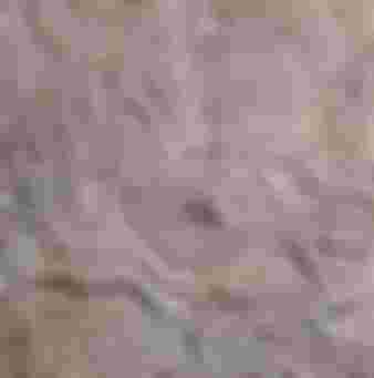 Stone relief from the palace of Ashurbanipal