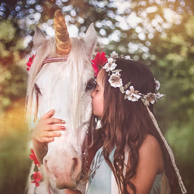 Hoppla! Boktips för de hästtokiga