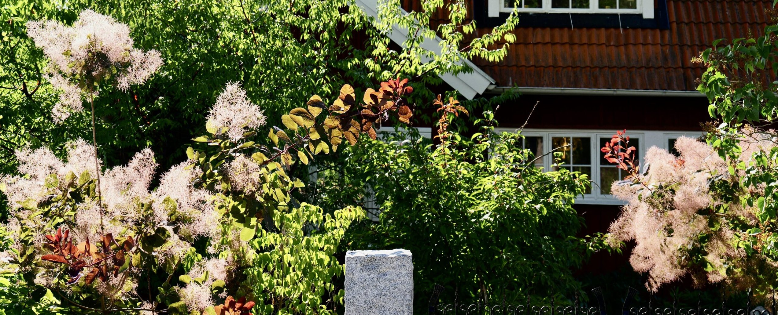 trädgårdsskötsel - boka service via Dannebacken