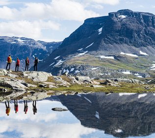 Sommarvandring med Niehku