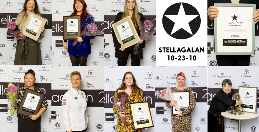 Årets Stellavinnare 2023, med Camilla Simonsson överst i mitten.  Foto: Pressbild 