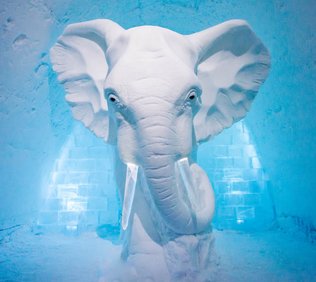 Icehotel konstsvit 2016 elephant in the room