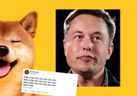 Elon Musk twittrar om nya kryptovalutan baby doge – priset rusar 130 procent
